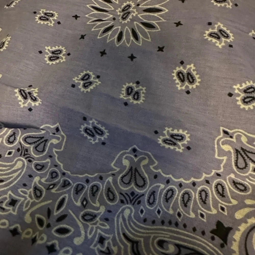 YASHICA PAISLEY PRINT SCARF - Picture 7 of 7